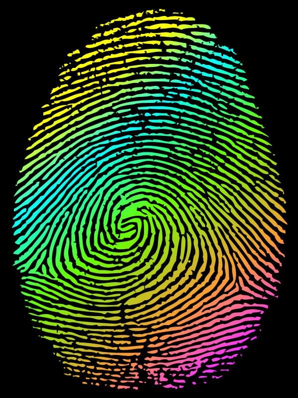 Combination Fingerprint Designs